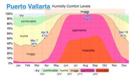 puerto vallarta humidity by month.